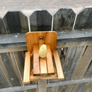Black Beard Woodworking - Squirrel Picnic Table